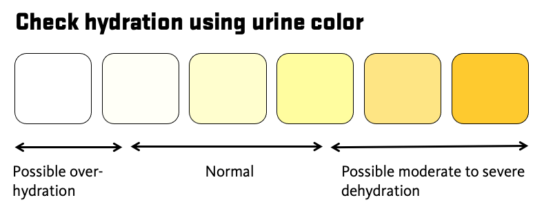Check hydration using urine color white and pale yellow may indicate over hydration, pale yellow is normal, darker shade