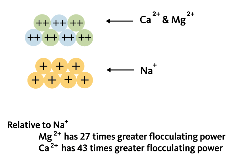 illustration depicting calcium, magnesium and sodium ions