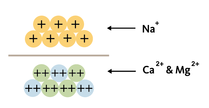 illustration showing sodium, calcium and magnesium ions
