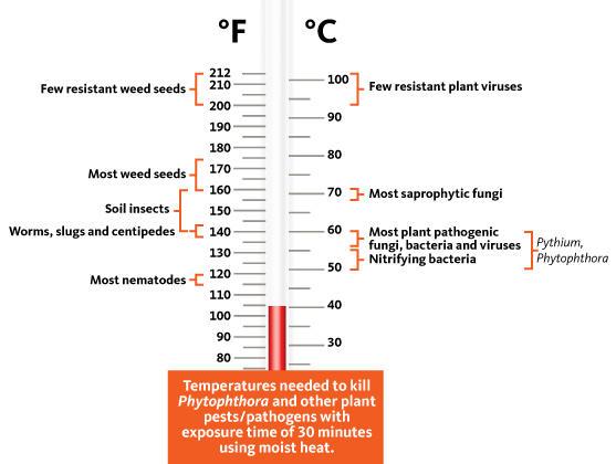 Thermometer: Temperatures needed to kill Phytophthora and other plant pests/pathogens with exposure time of 30 minutes u