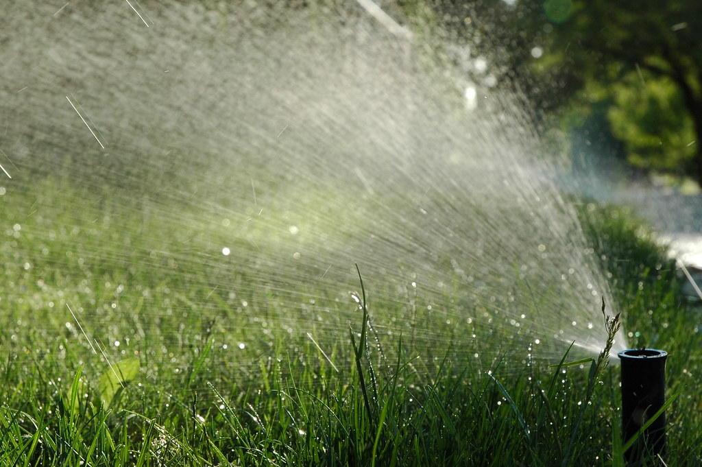 A pop-up sprinkler is shown spraying water on grass.