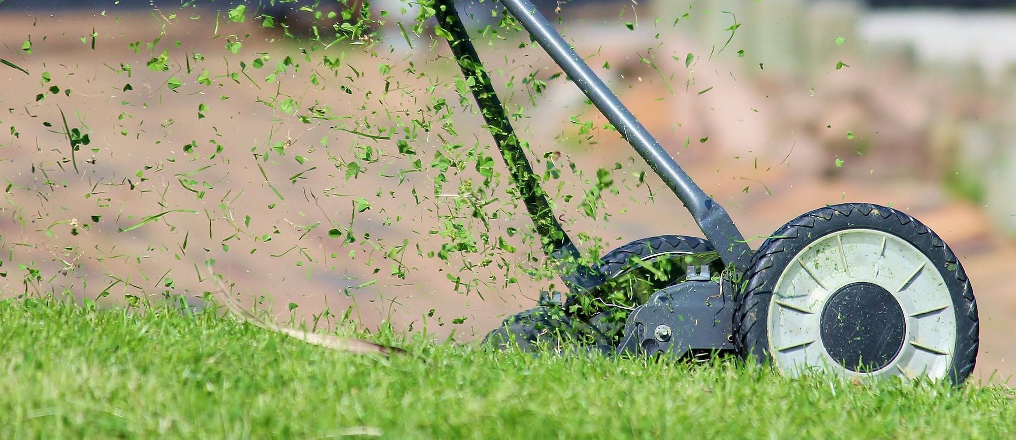 Reel mower in action with grass pieces flying up behind the reel blades.