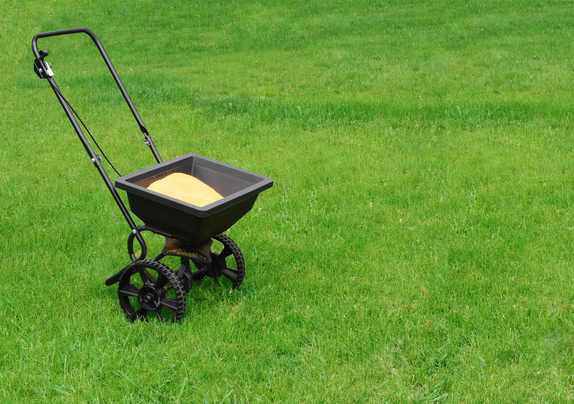 A fertilizer spreader is a box-shape container mounted on two wheels; a handle is attached for pushing the spreader across grass.