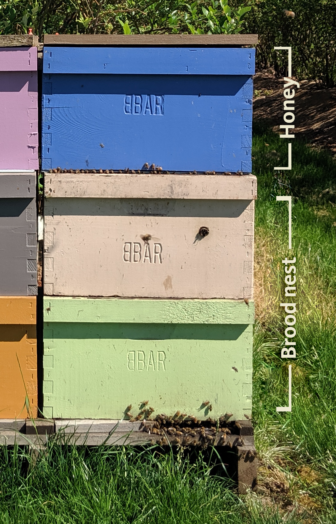Three bee colony boxes of different colors -- green, beige and blue -- are shown stacked on top of each.