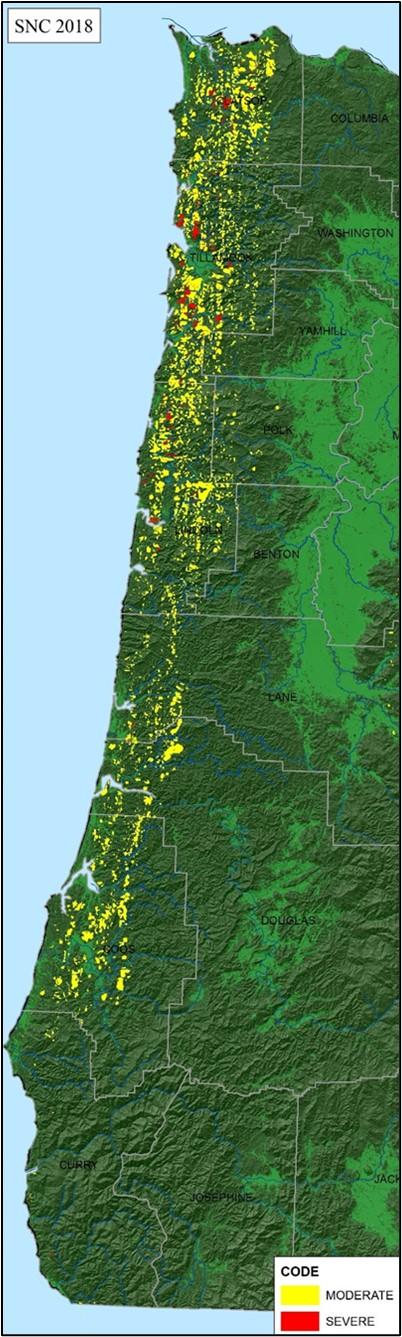 Map of western Oregon shows the results of aerial detection survey of areas affected by Swiss needle cast in 2018. Map shows the disease is widespread and most severe in the north coast area.
