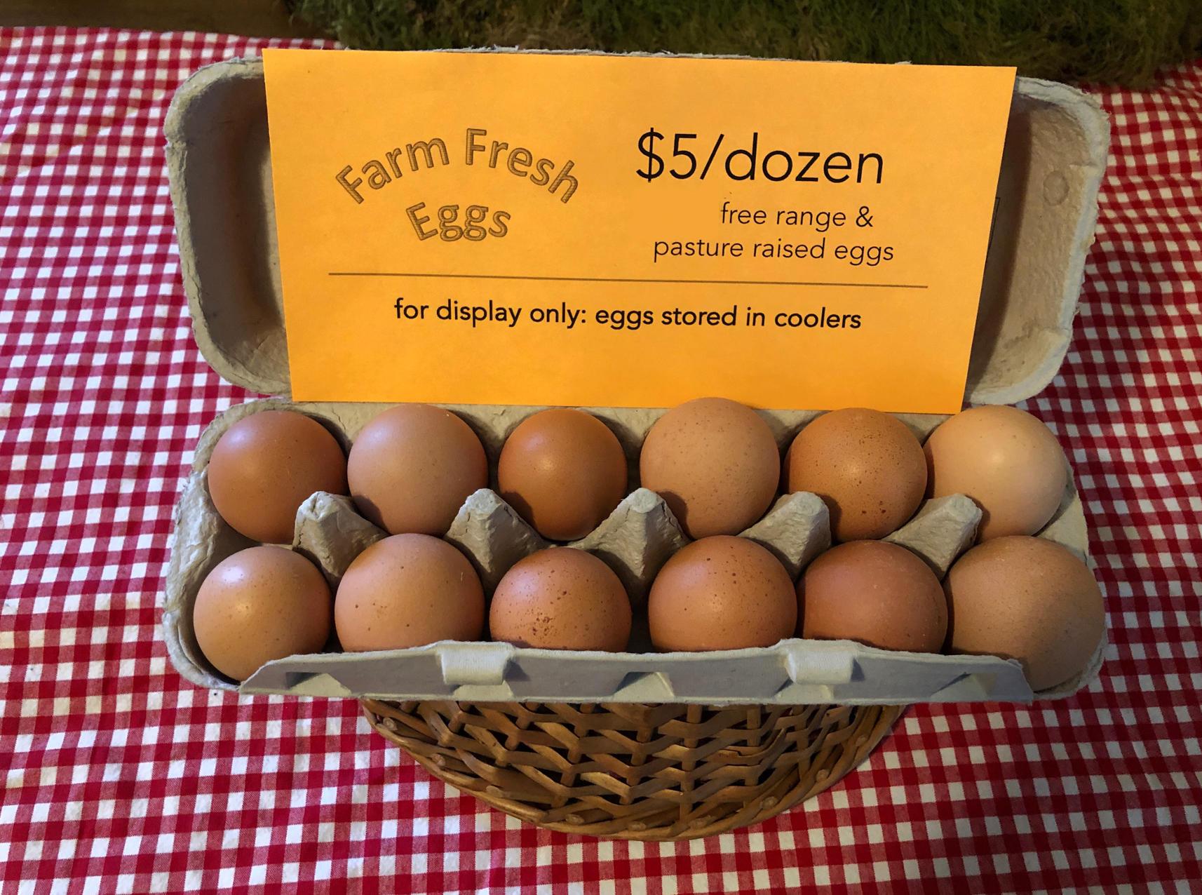 Egg carton with sign saying: "Farm Fresh Eggs. $5/dozen. Free range and pasture raised eggs. For display only; eggs stored in coolers."