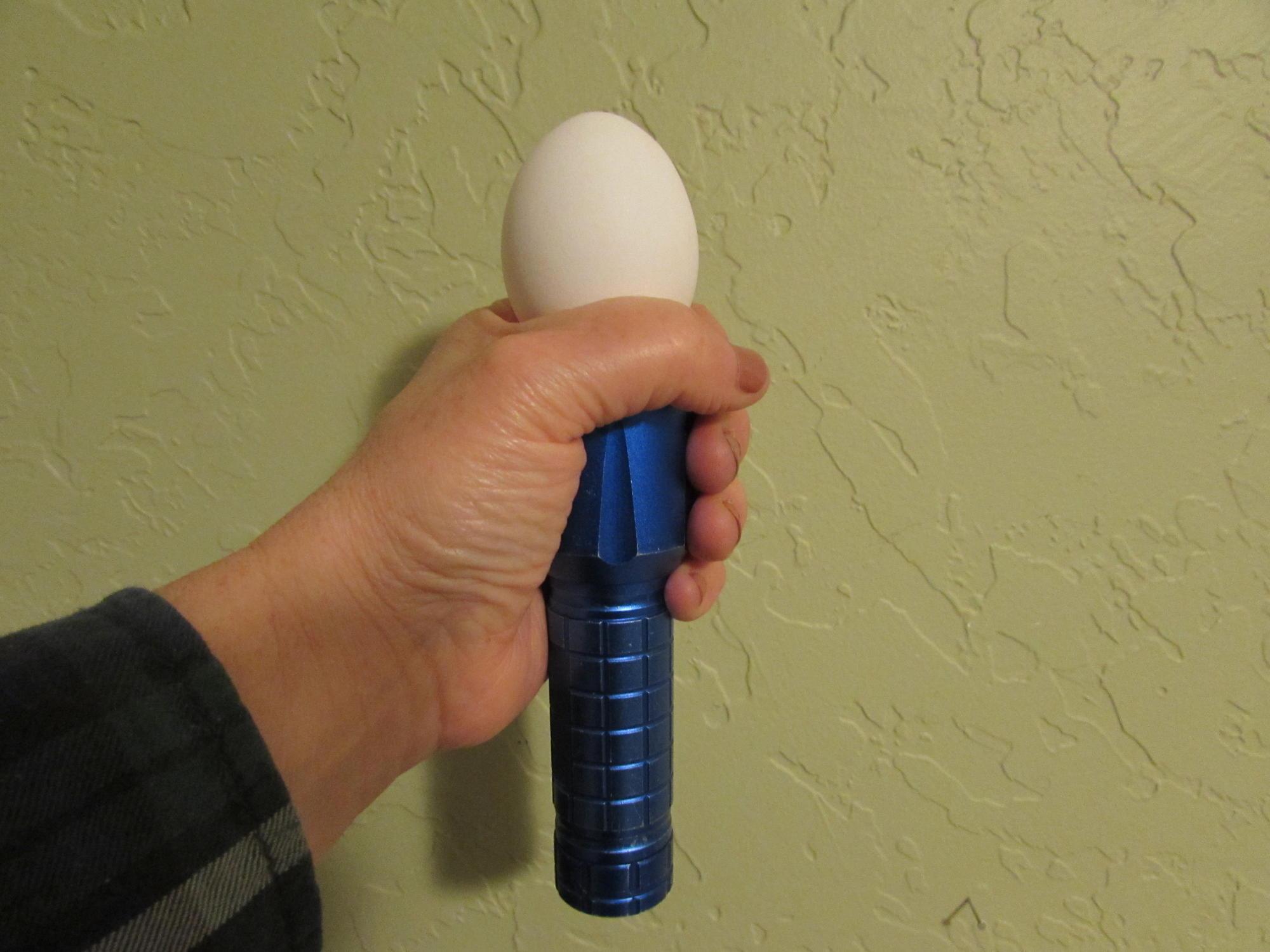 A person holds an egg directly atop a flashlight.