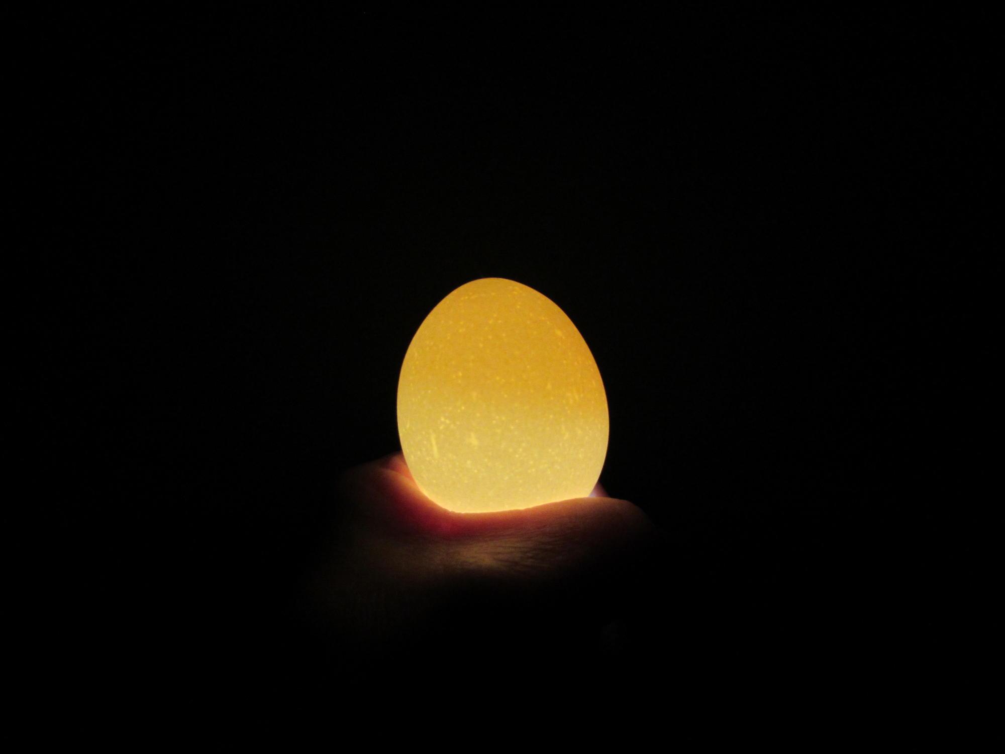 An egg is illuminated by a flashlight directly under it in a dark area.