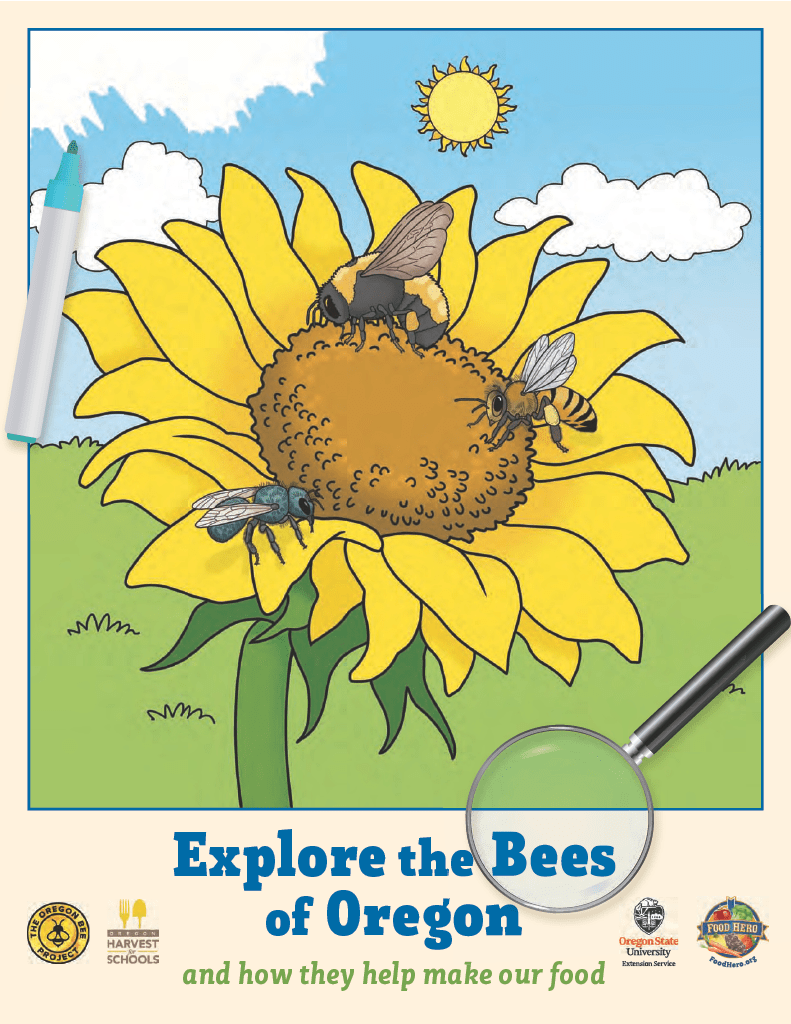 The cover of Explore the Bees of Oregon activity book is a drawing of three bees perches on a yellow sunflower, set against a backdrop of a green field and blue sky with clouds. There's a drawing of a magnifying glass in the corner and a blue marker in an
