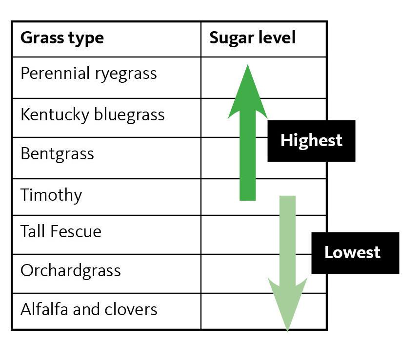 Table shows the sugar content of different pasture grasses.