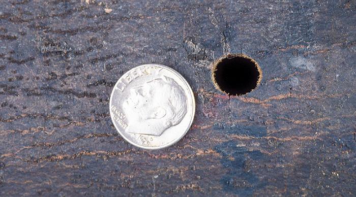 hole smaller than a dime