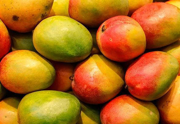 A full-frame view of mangoes piled on top of one another.