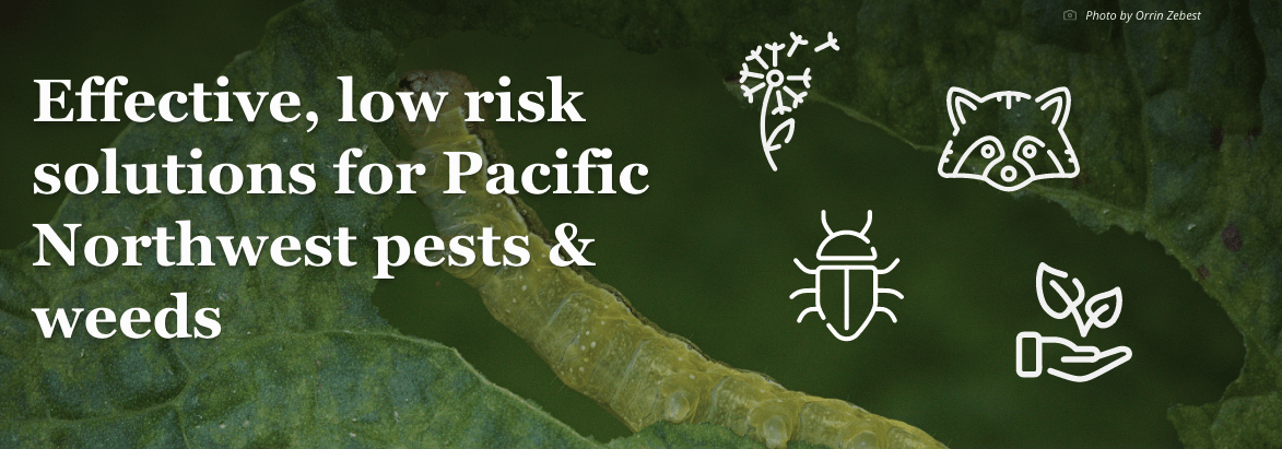 Effective, low risk solutions for Pacific Northwest pests & weeds landscape overhead