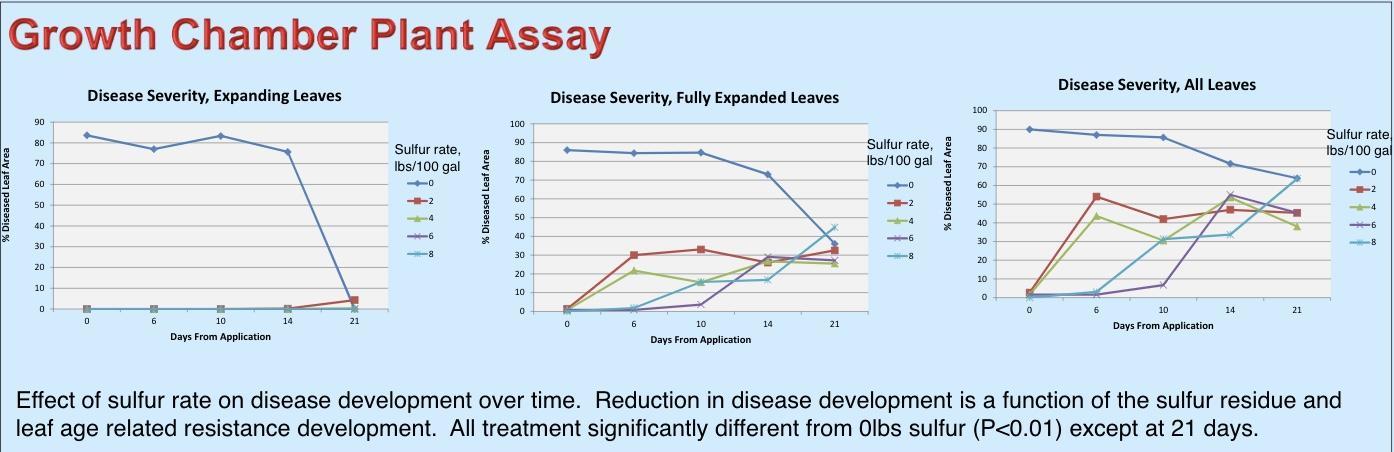 Graphic shows the effect of sulfur rate on disease development over time.