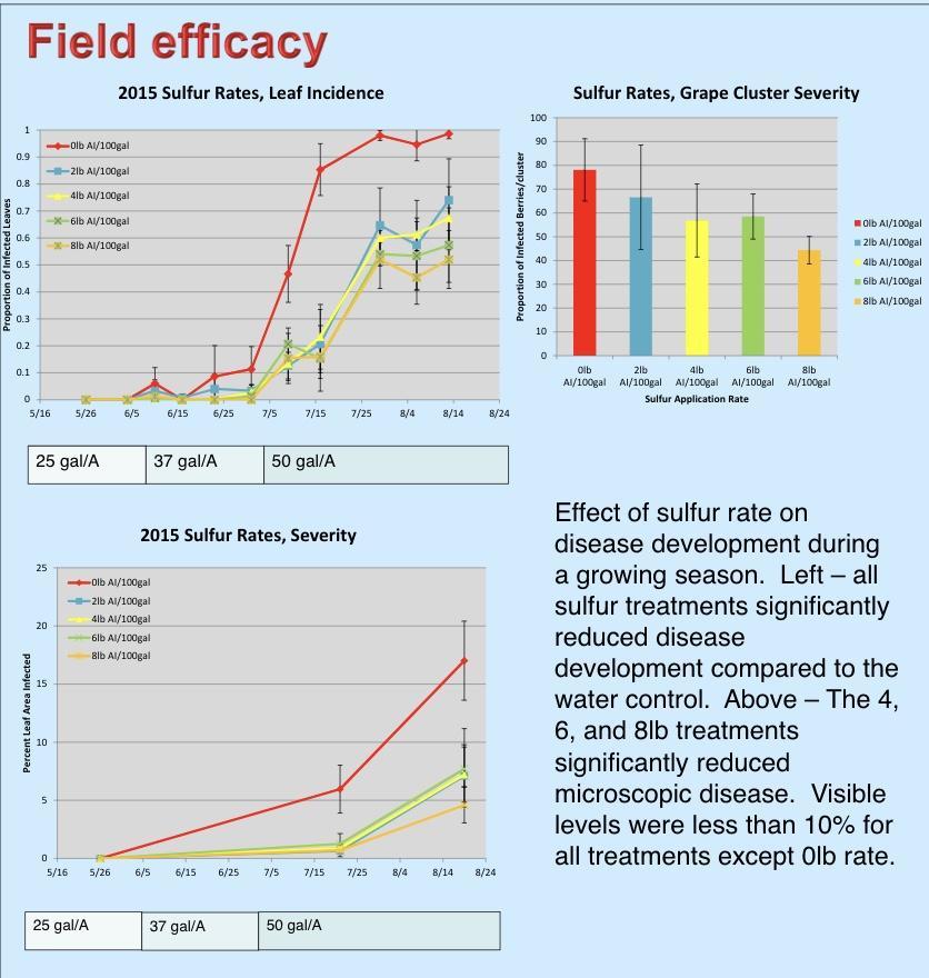 Graphic shows the effect of sulfur rate on disease development during a growing season.