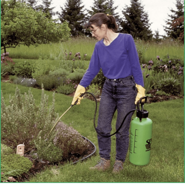 Woman spraying pesticide on plants