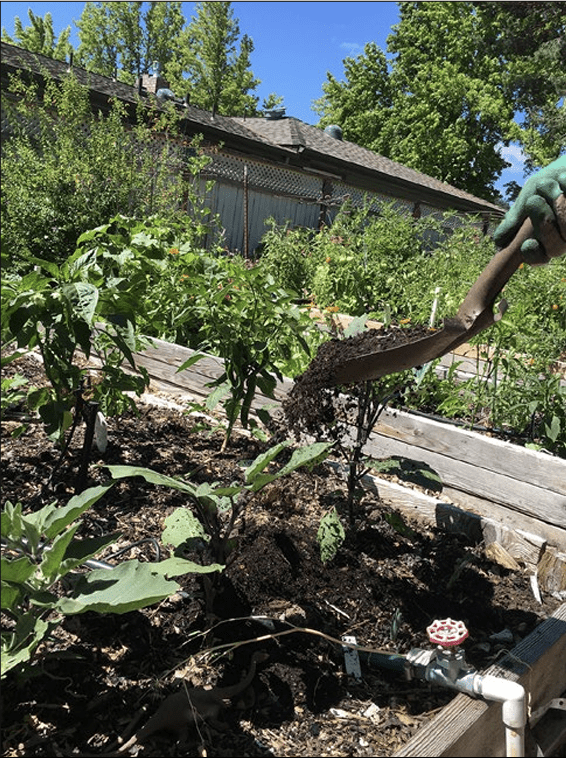 garden with compost in soil