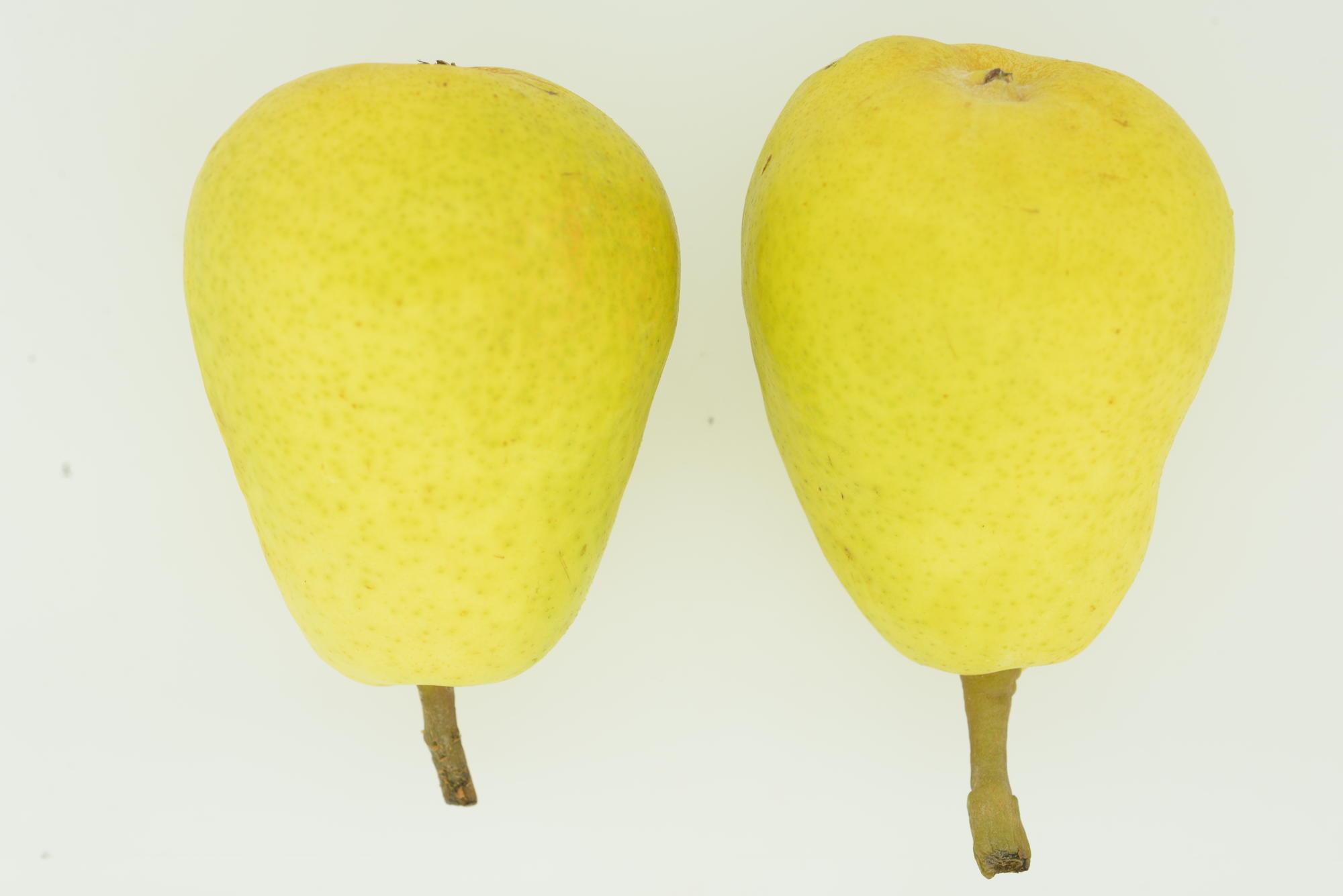 2 yellow pears