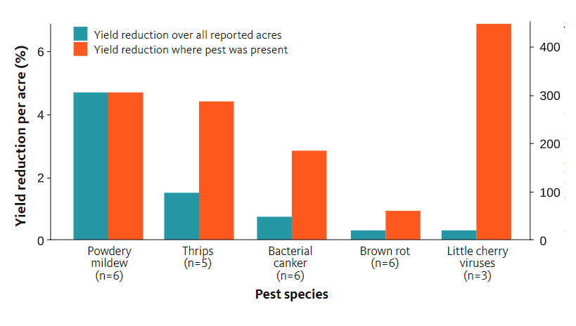 Bar graph showing the amount of yield reduction in the 2016 cherry crop by pest species.