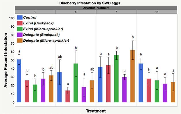 This chart compares the blueberry infestation by SWD eggs after the application of Exirel and Delegate via backpack sprayer and by microsprinkler across an 11-day period.
