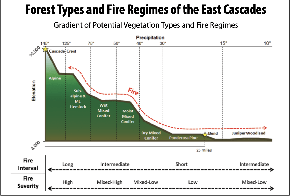 Forest Types and Fire Regimes of the East Cascades