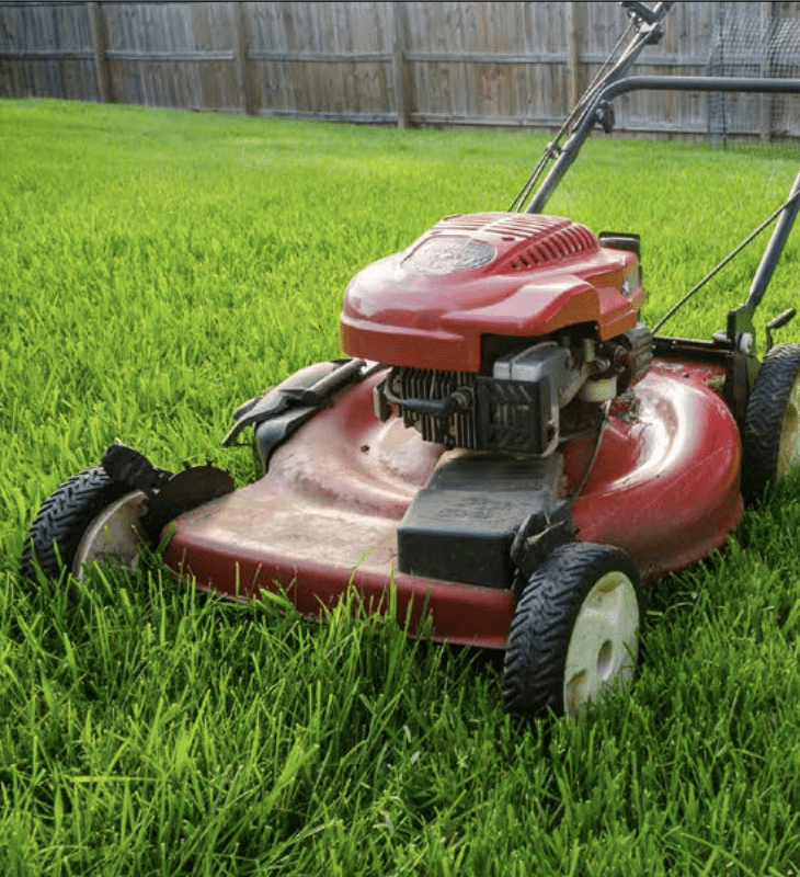 New lawns need regular mowing to maximize turf density