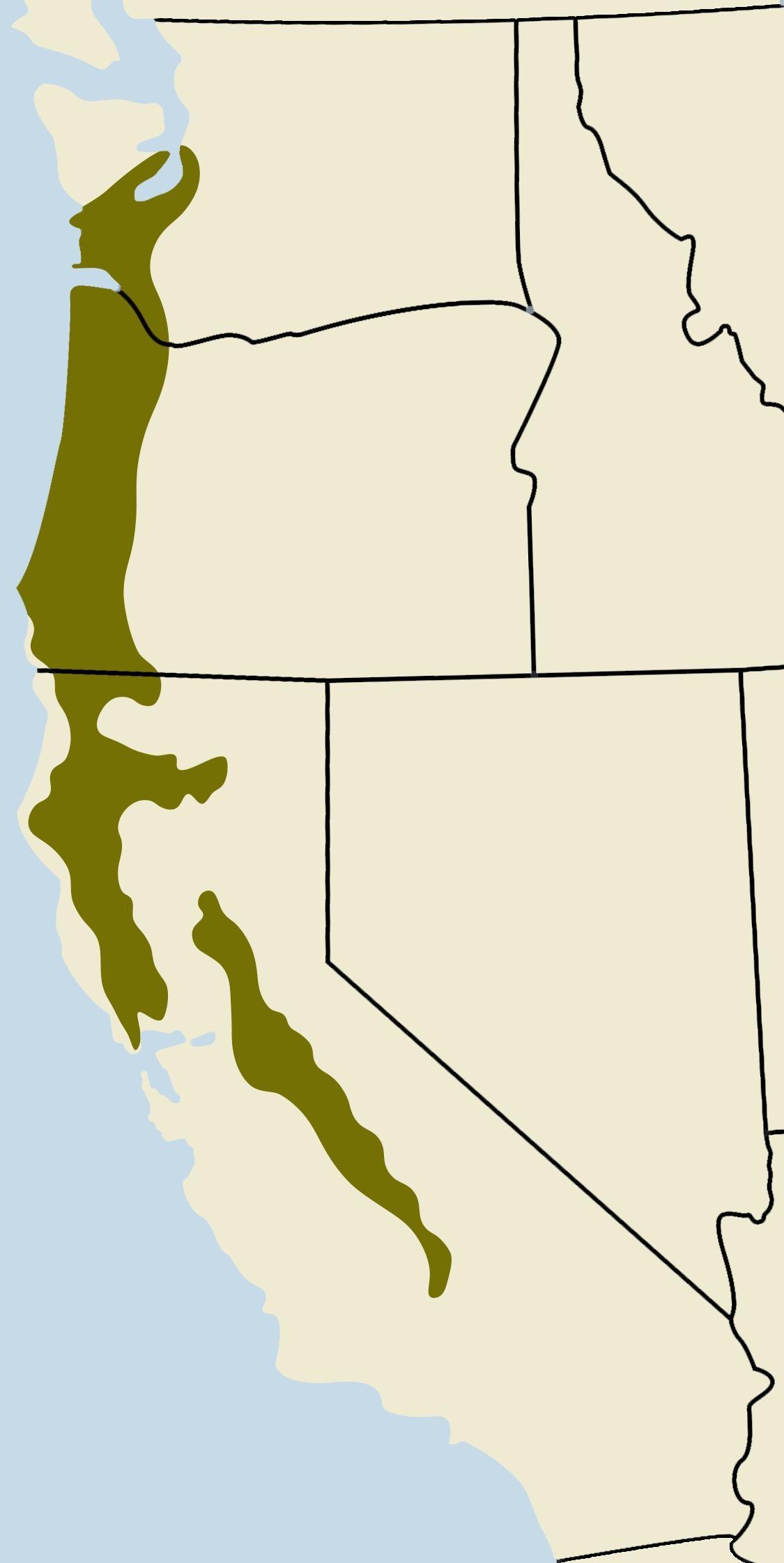 range of Oregon ash extends from puget sound and coastal Washington, through western Oregon and the mountains of northern and central California