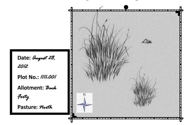 Illustration of a 3-foot X 3- foot photo plot.  Angle iron stakes are shown in the SW and NE corners of the plot.  The rebar stake is depicted in the center of the northern plot boundary.