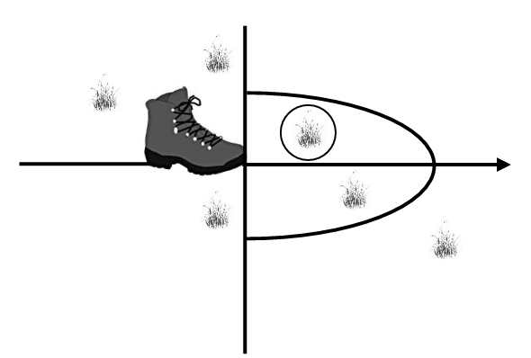 Illustration of the procedure to use when the toe of your boot “hits” bare ground, litter, biological crust, annual vegetation, or rock.  Record the nearest perennial plant species on the top line of the data form that is located within a 180° arc.