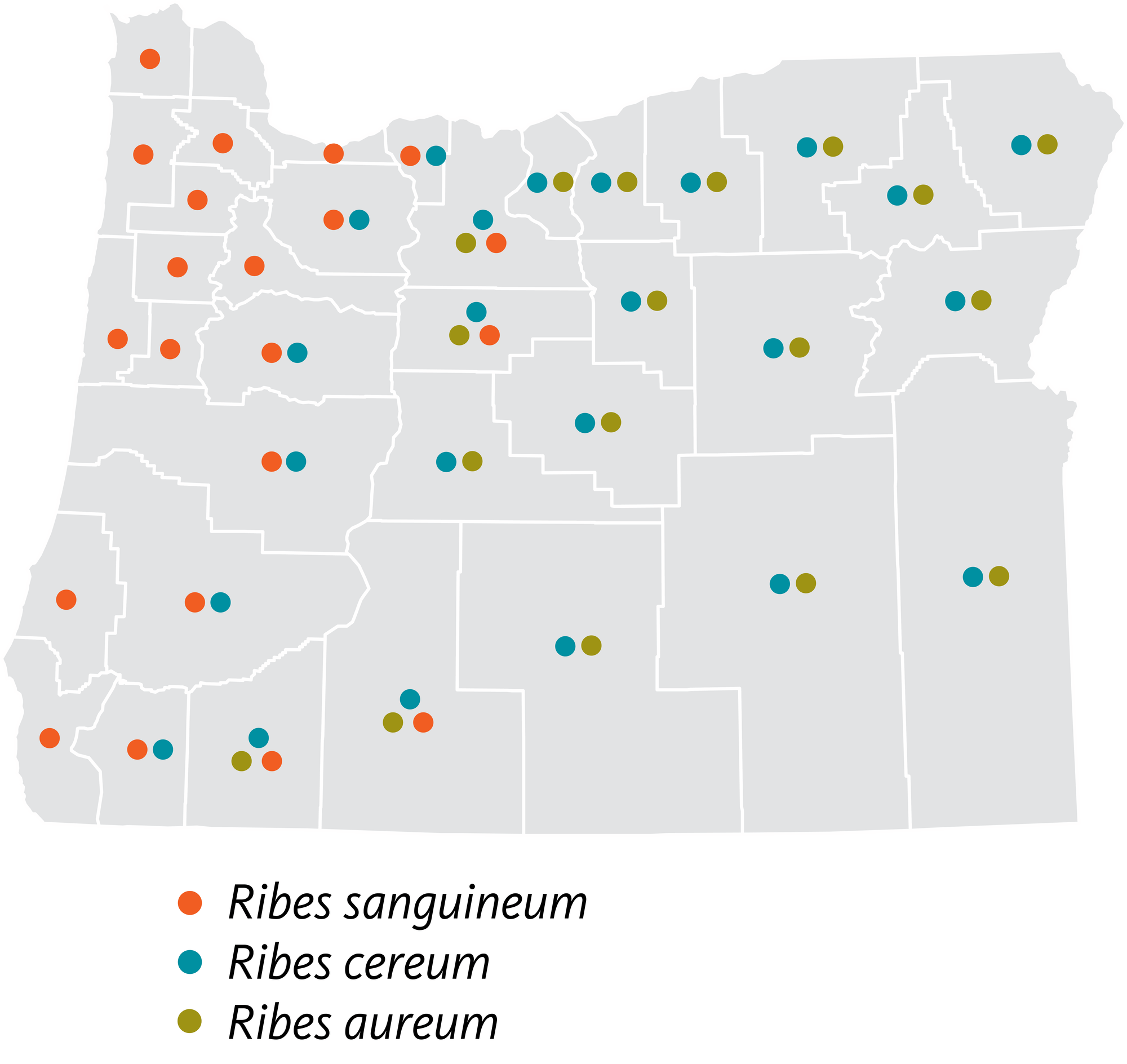 counties in oregon where different varieties of currants occur