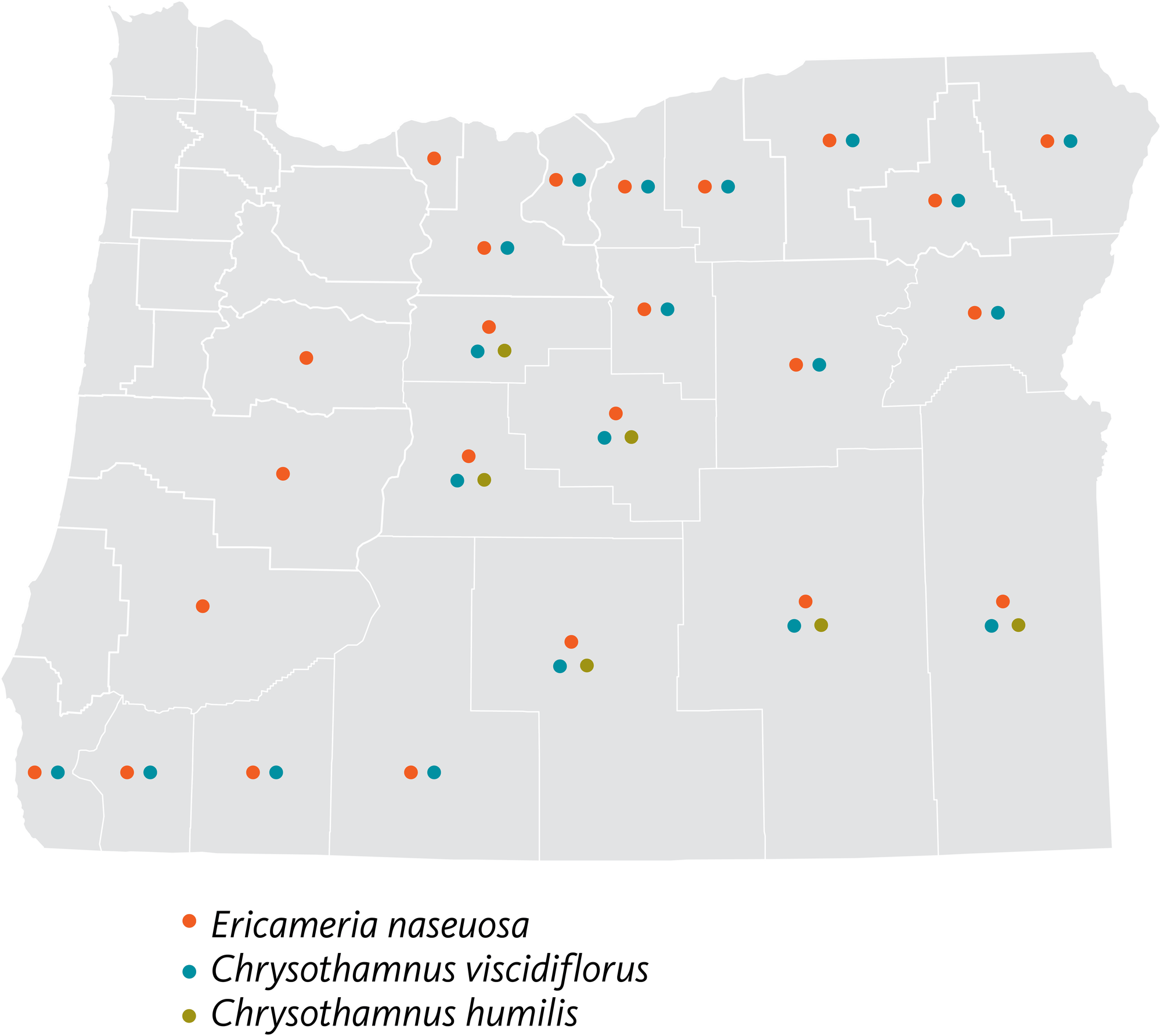 map showing counties in Oregon where different species of rabbitbrush occur