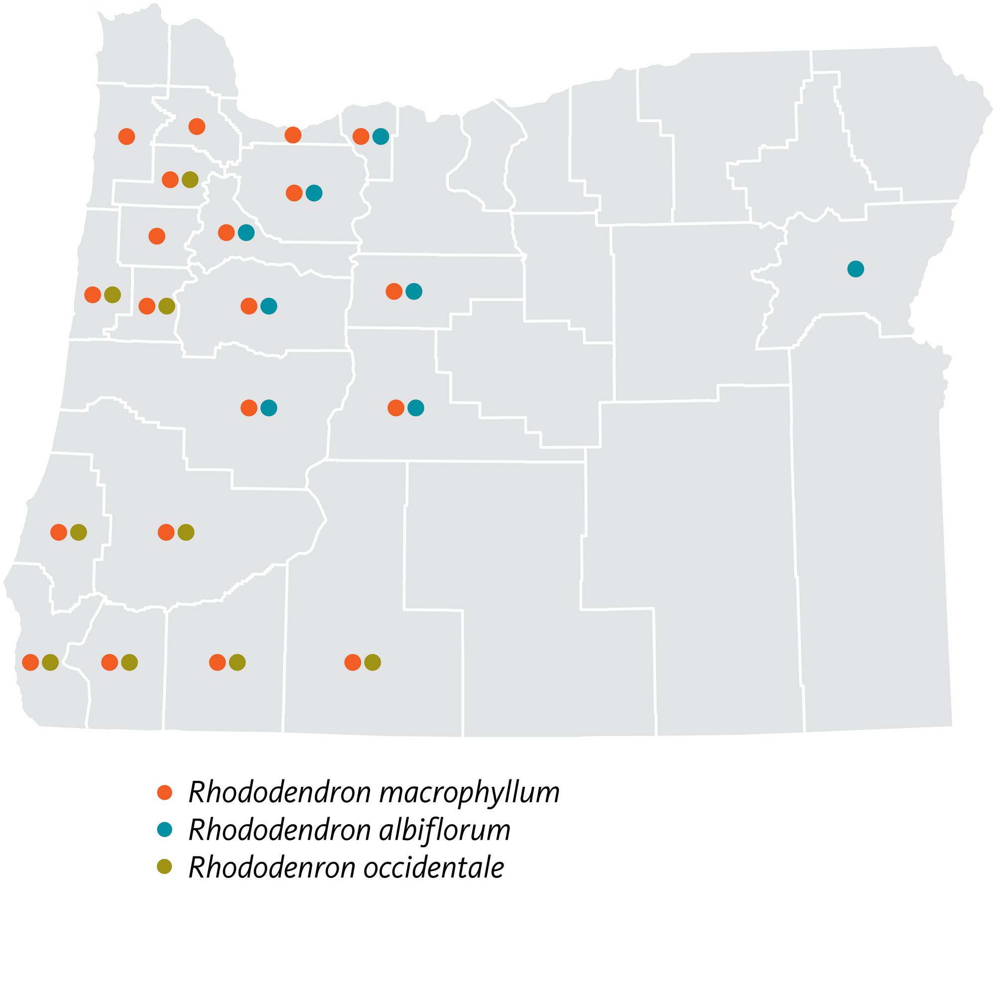 map showing Oregon counties where different species of Rhododendron occur