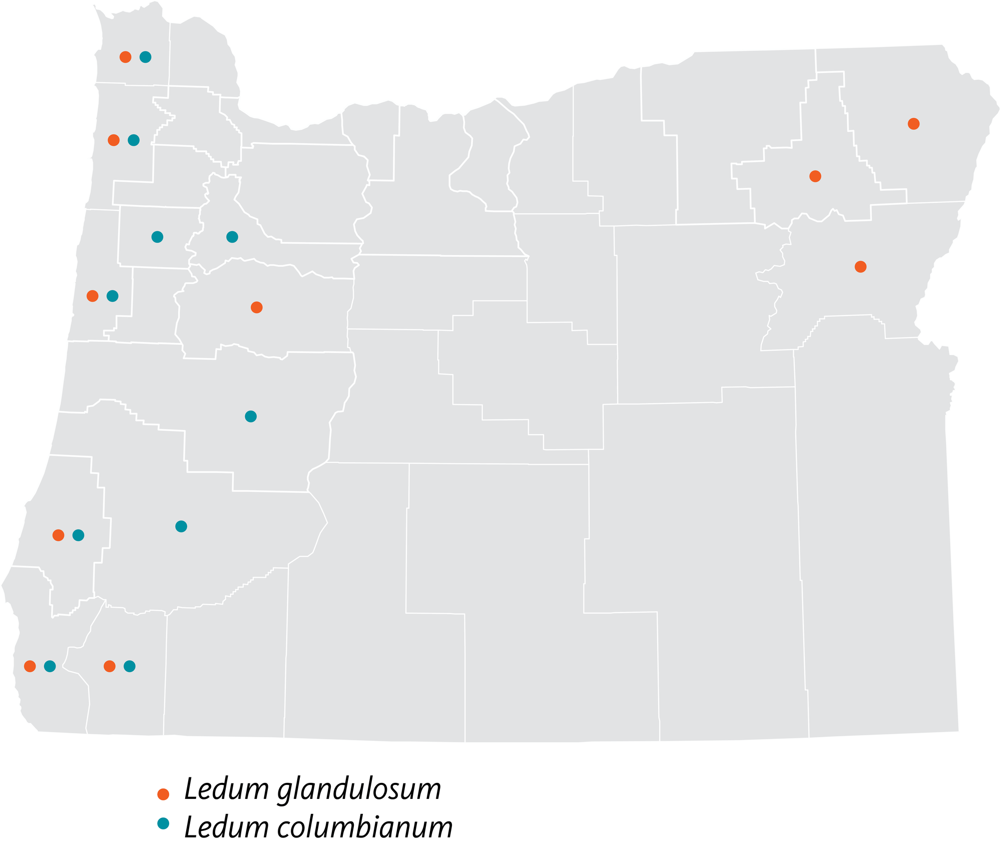 Counties where two varieties of Labrador tea occur in Oregon map