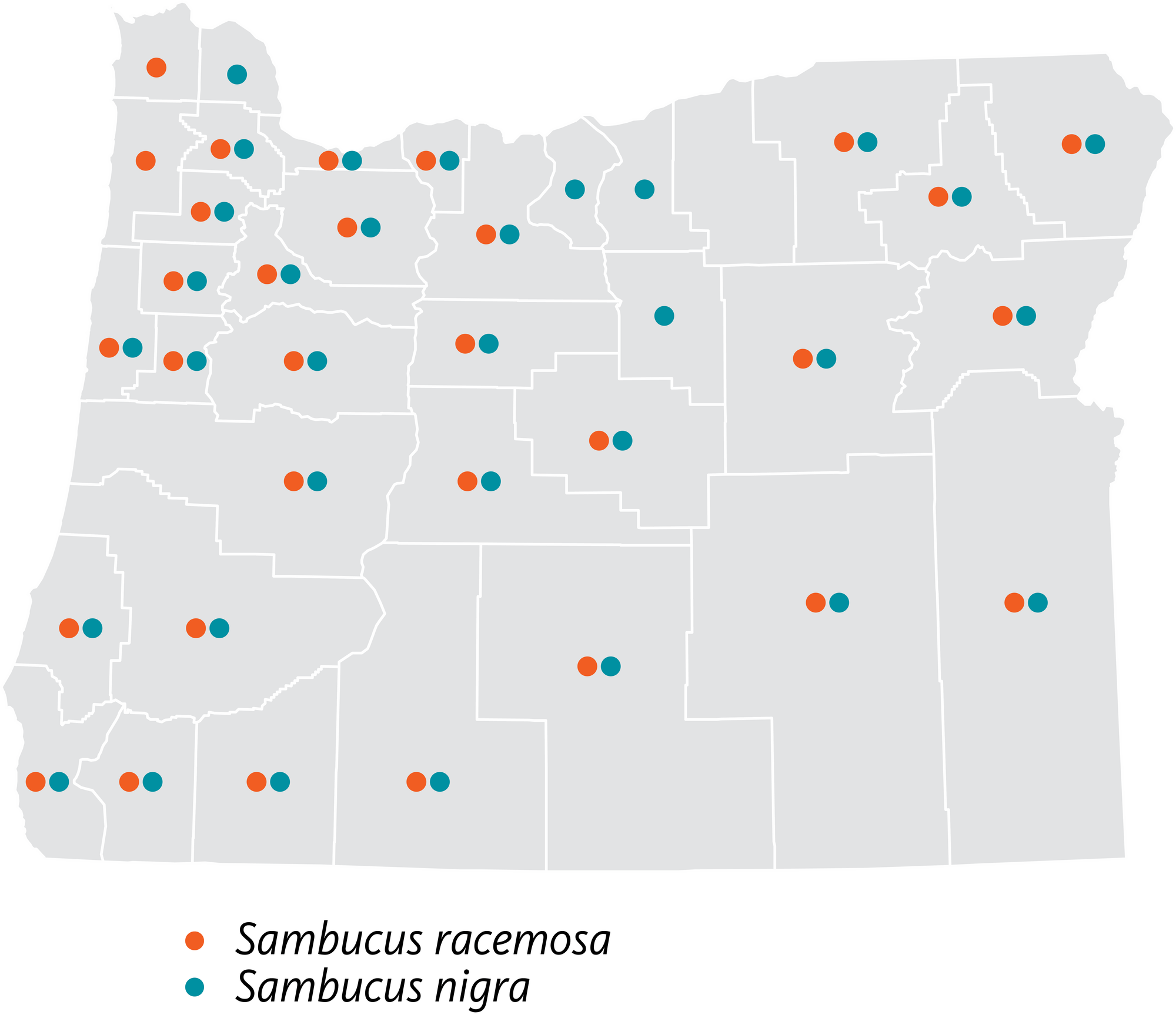 map of Oregon showing counties where elderberry occur