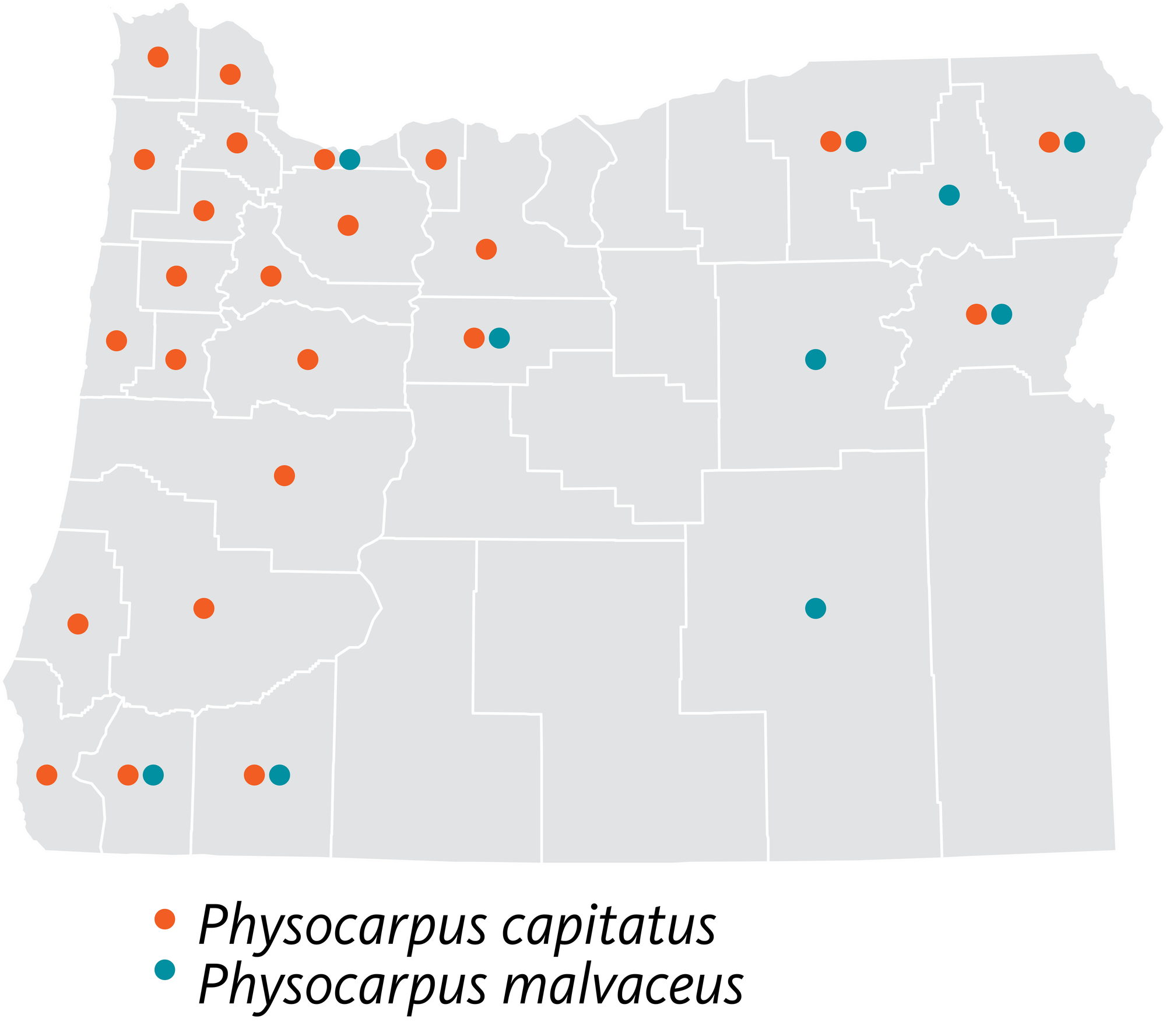 Oregon counties where nine bark occurs