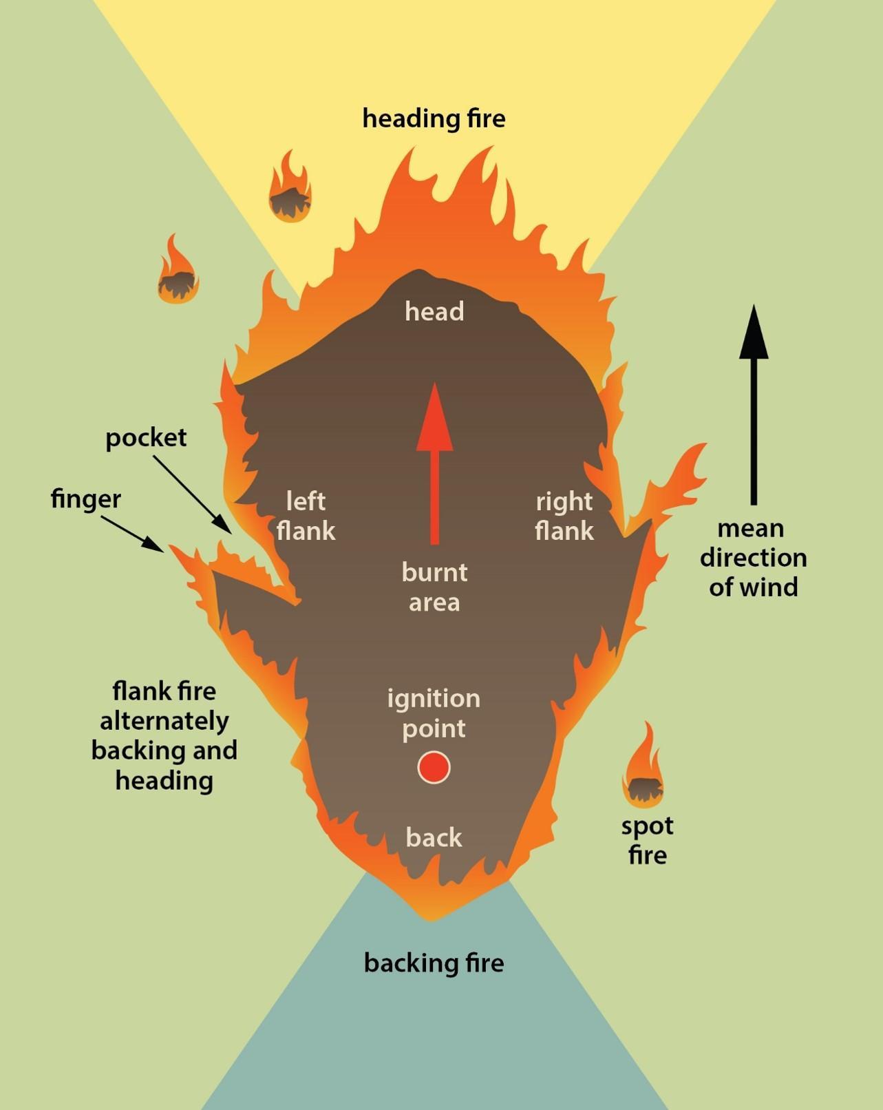 parts of a fire, heading fire, backing fire, flanks, head, back finger, pocket