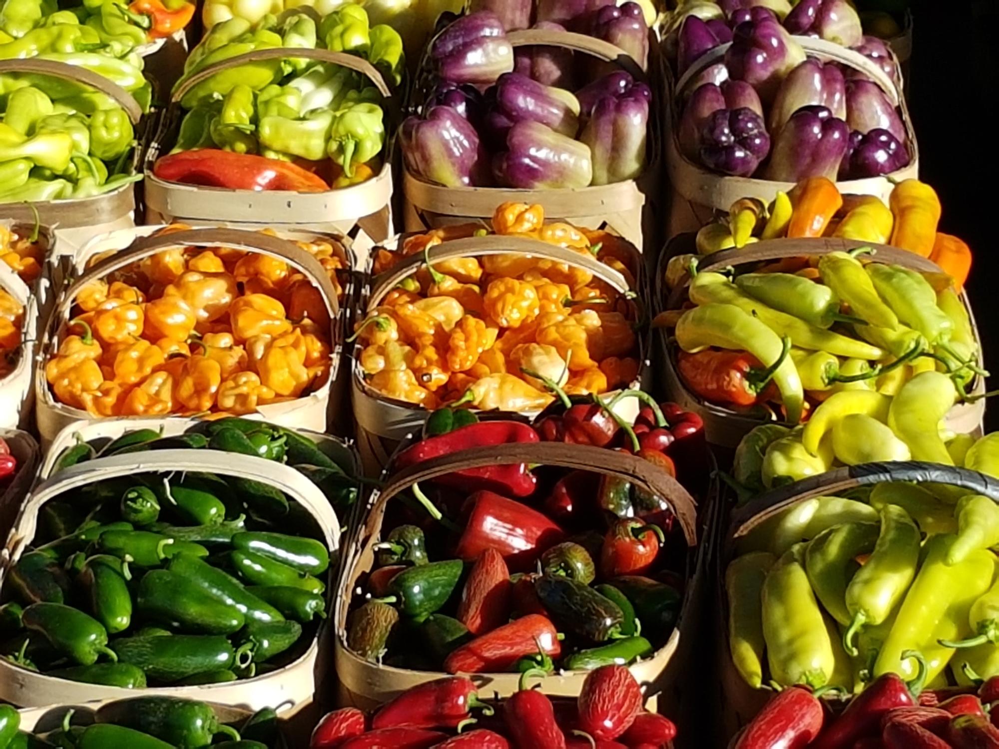 baskets of green, red, orange, yellow and purple peppers