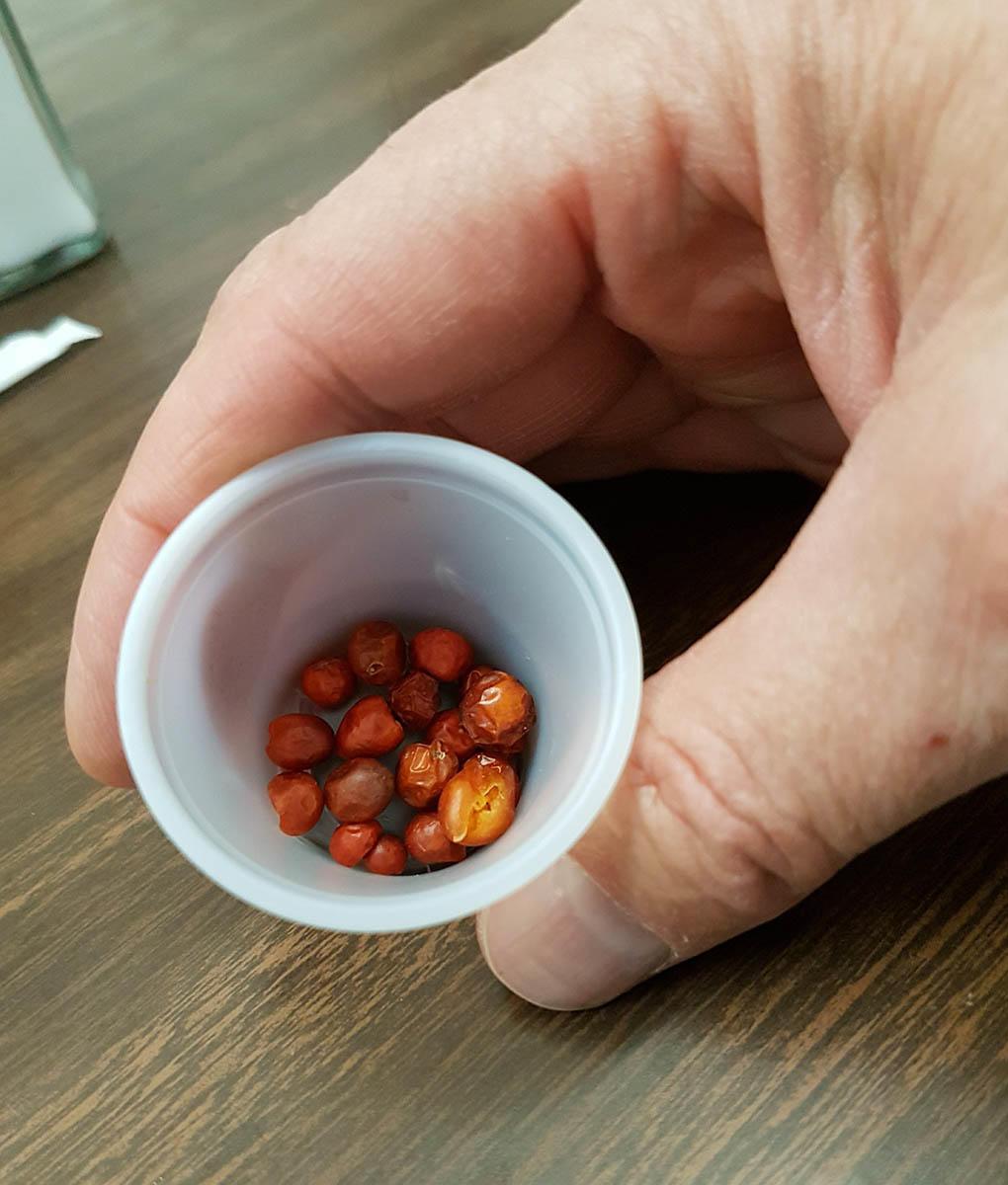 dried peppers orange berry-like in a little cup, held in palm on desk