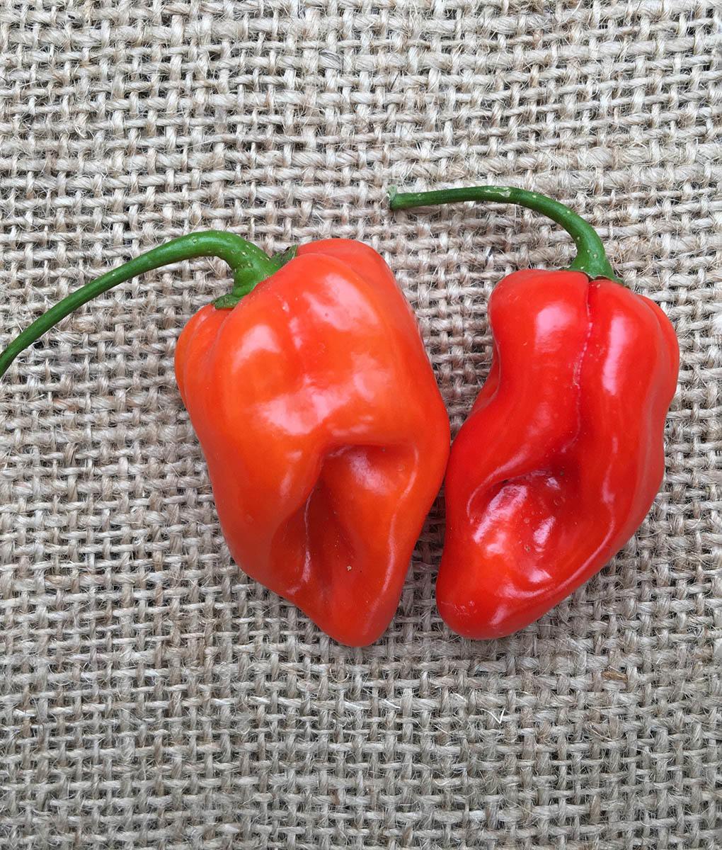 two red peppers with green stems, indentations prominent