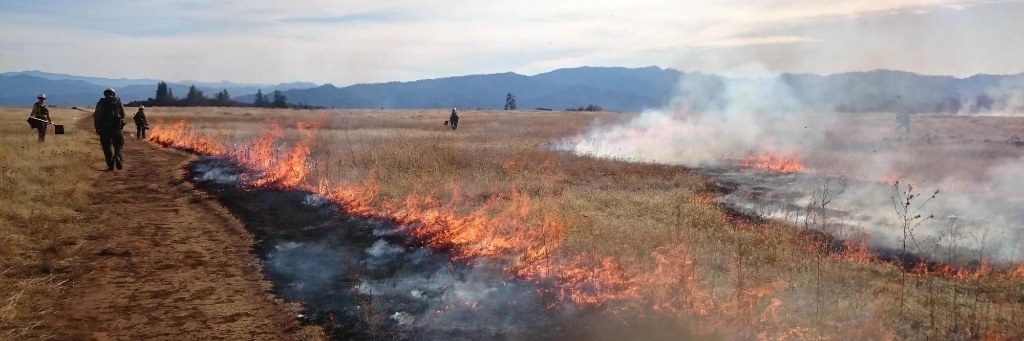 fire burning along fire line in grassland figures in background