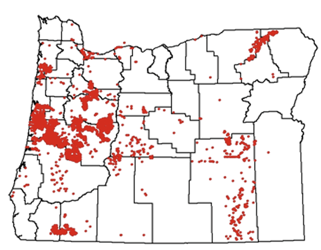 Bull thistle distribution in Oregon