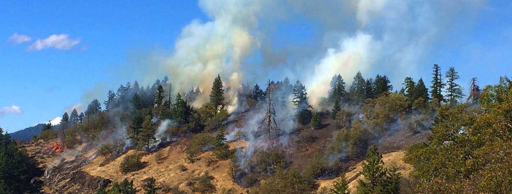 fire along lightly forested ridgeline