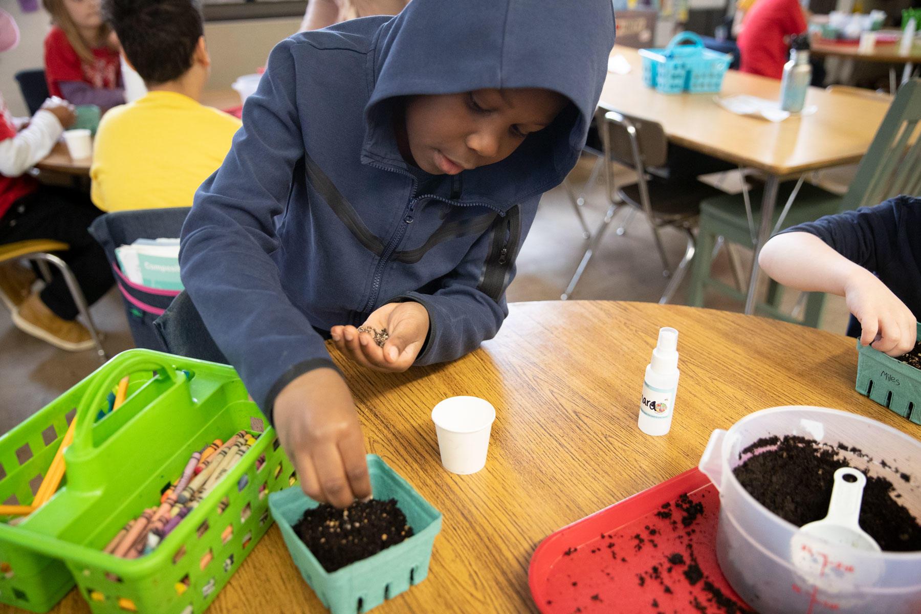 An African American boy sits at a table in his second grade class and plants microgreen seeds in a soil container.