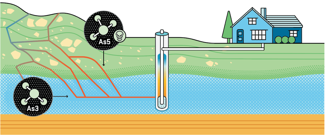 illustration of home, field and well. Well draws water from aquifer, which receives pollutants from soil above.