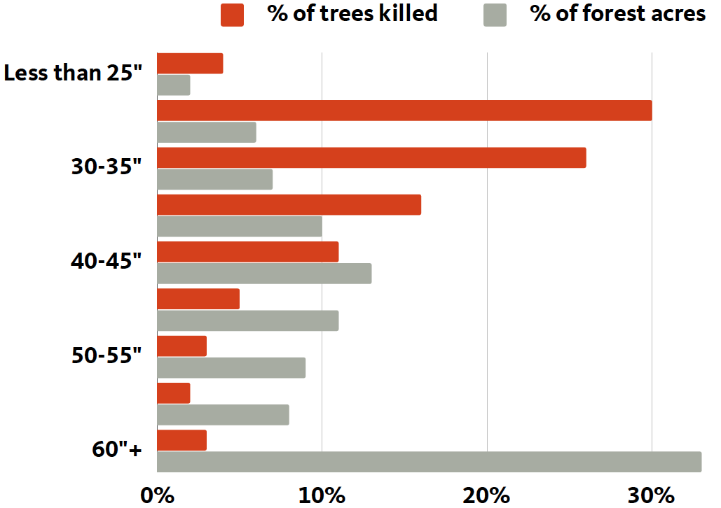 bar chart showing number of trees killed and percentage of forest acres