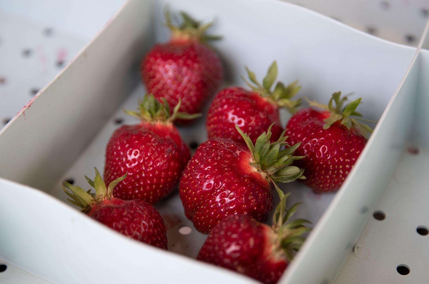 red strawberries in a white container on a table.
