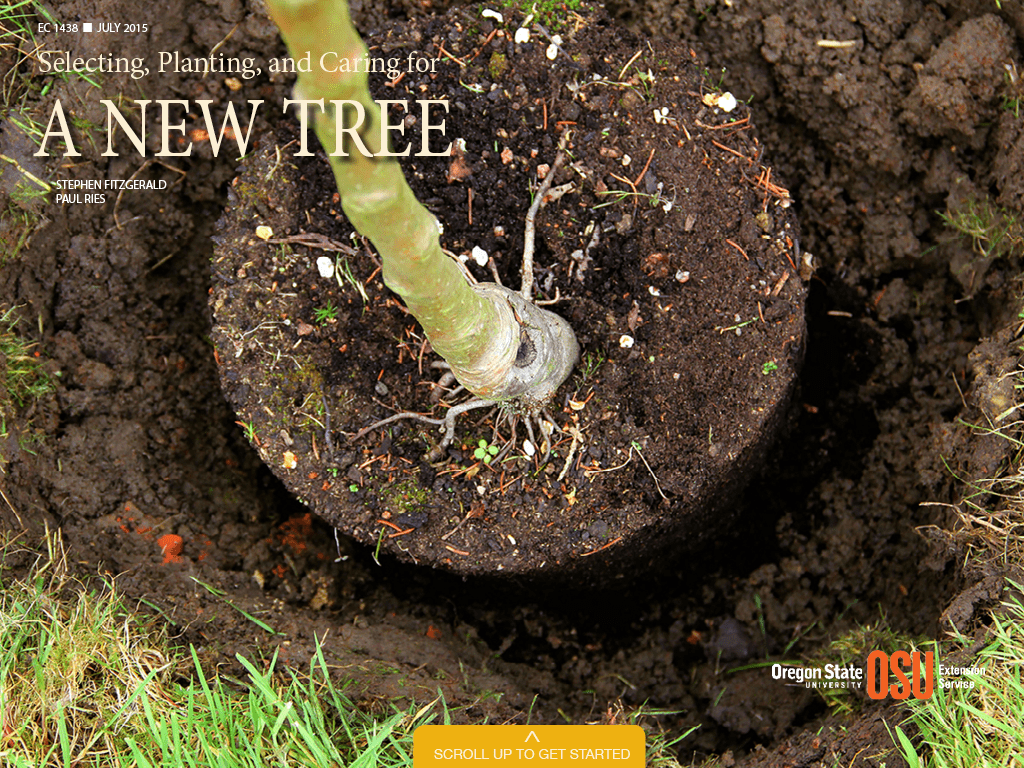 Cover image of Selecting, Planting, and Caring for a New Tree publication