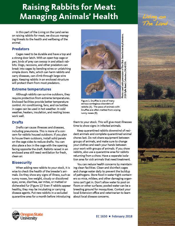 Cover image of "Living on The Land: Raising Rabbits for Meat—Managing Animals' Health"