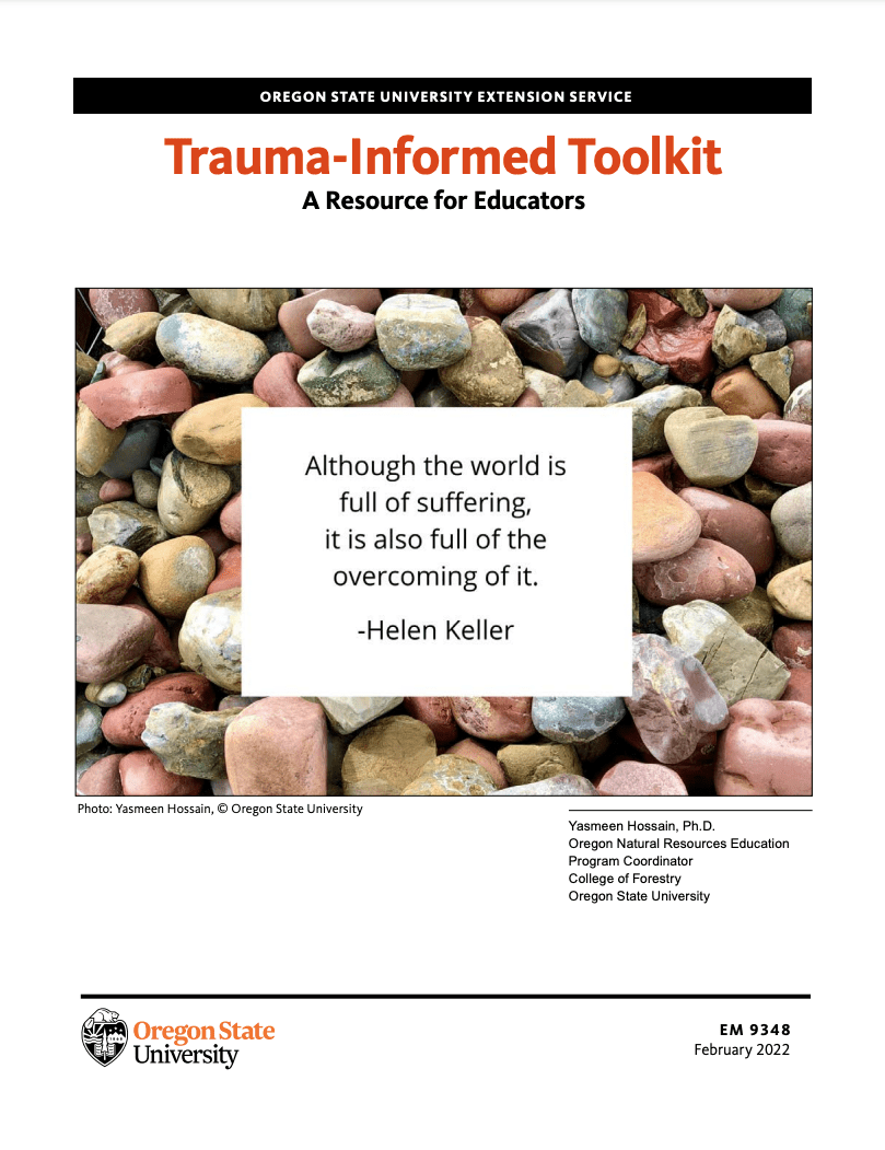 Cover image of Trauma-Informed Toolkit publication