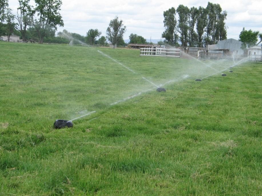irrigating a field